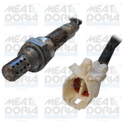 Oxygen Sensor